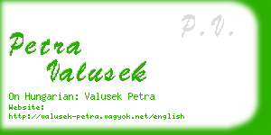 petra valusek business card